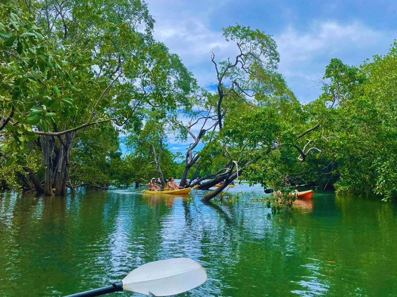 kayaking in tamarindo guanacaste