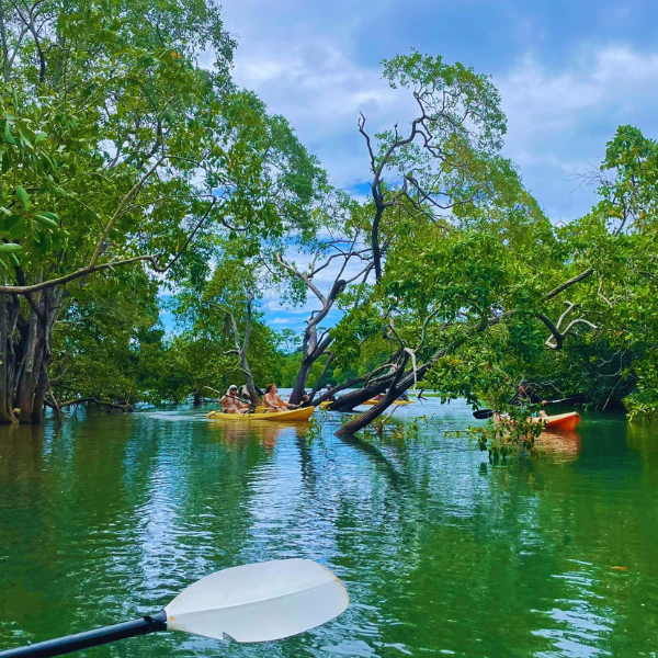 kayaking in tamarindo guanacaste