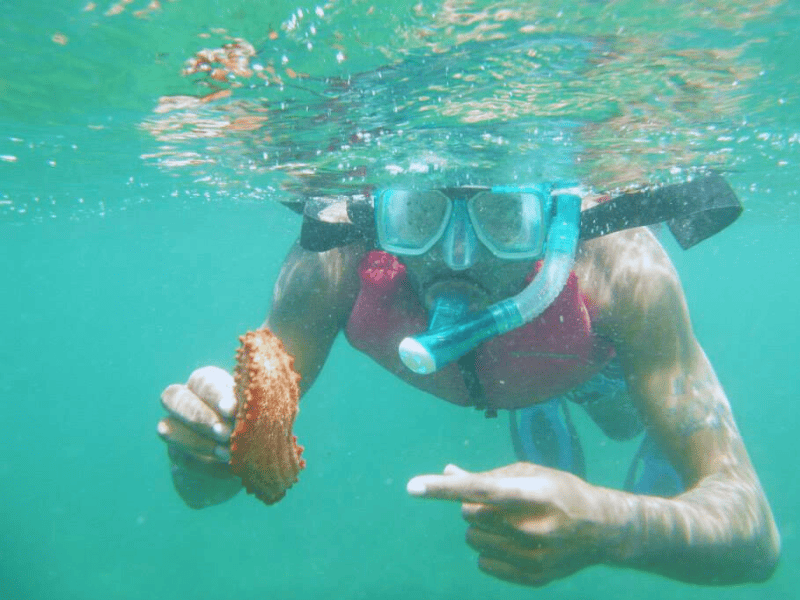 snorkel tour in playa tamarindo