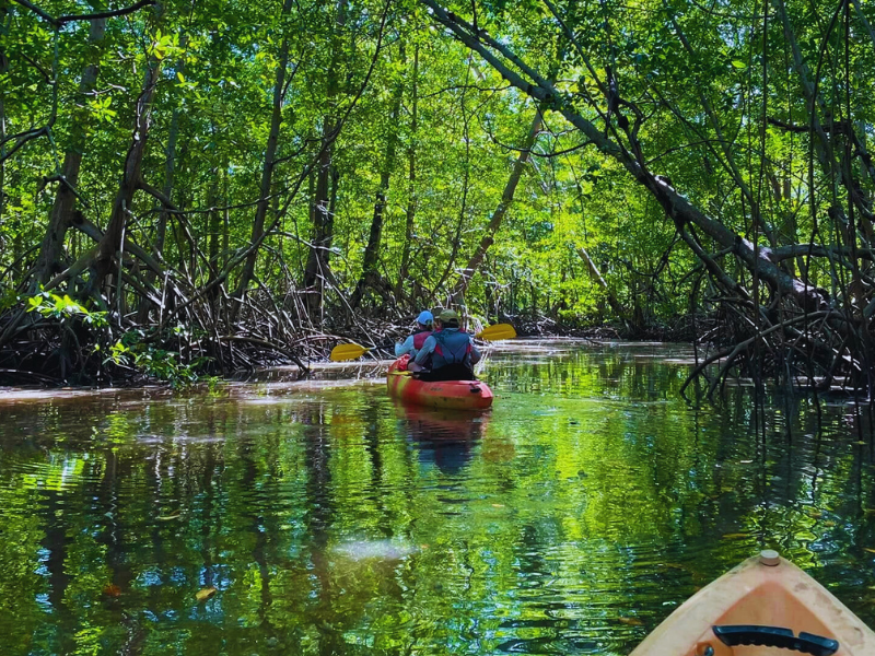 kayak tour service in tamarindo guanacaste