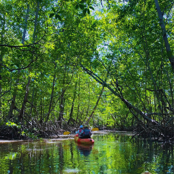kayaking in tamarindo guanacaste