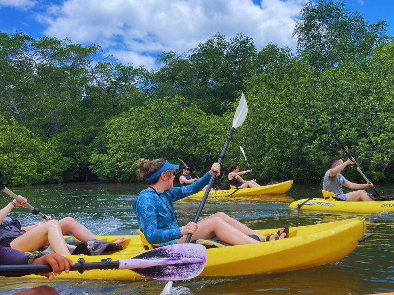 kayak tour service in tamarindo guanacaste