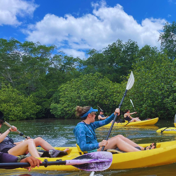 kayak tour service in tamarindo guanacaste
