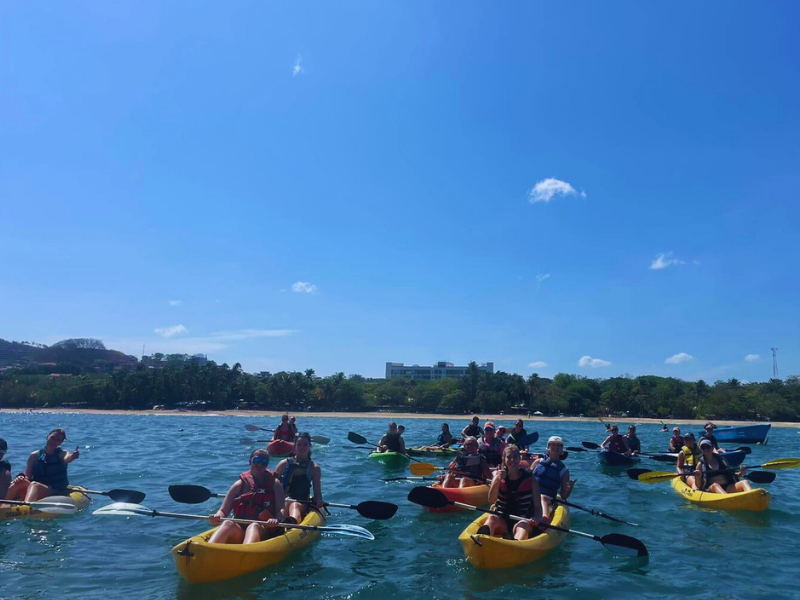 kayak tour service in tamarindo guanacaste